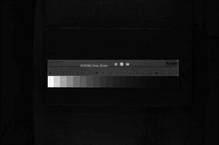 浙江陈氏族谱-新桥陈氏宗谱 [不分卷].pdf电子版缩略图