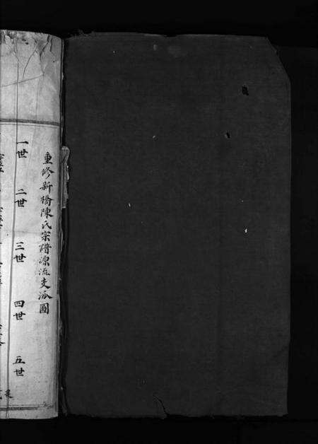 浙江陈氏族谱-新桥陈氏宗谱 [不分卷].pdf电子版预览图2