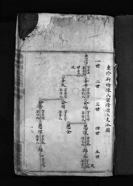 浙江陈氏族谱-新桥陈氏宗谱 [不分卷].pdf电子版预览图3