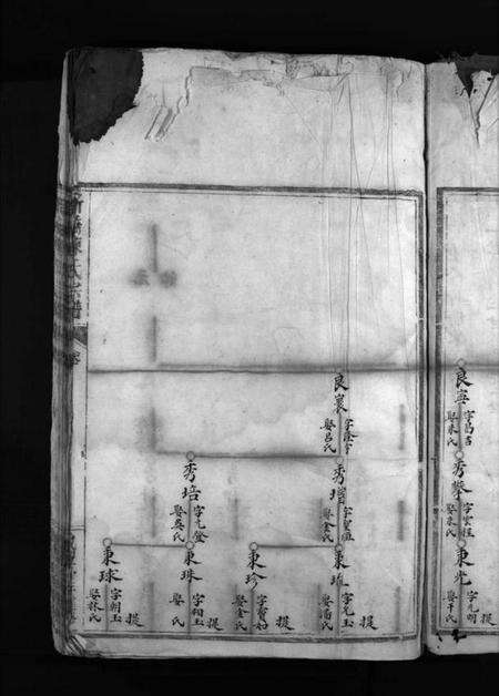 浙江陈氏族谱-新桥陈氏宗谱 [不分卷].pdf电子版预览图5