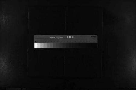 浙江陈氏族谱-新桥陈氏宗谱 [不分卷].pdf电子版缩略图