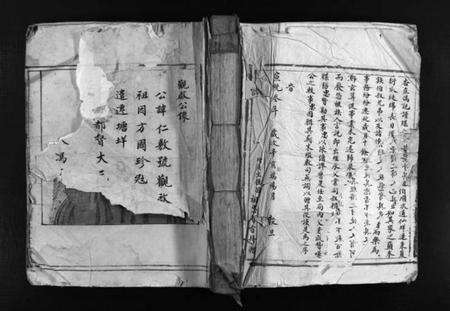 浙江陈氏族谱-新桥陈氏宗谱 [不分卷].pdf电子版预览图1