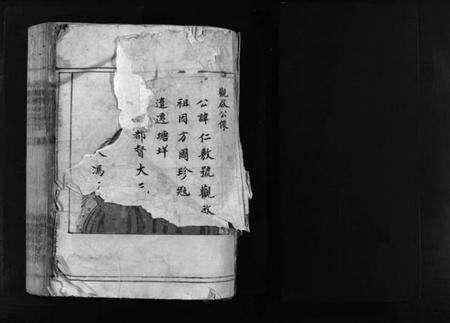 浙江陈氏族谱-新桥陈氏宗谱 [不分卷].pdf电子版预览图2