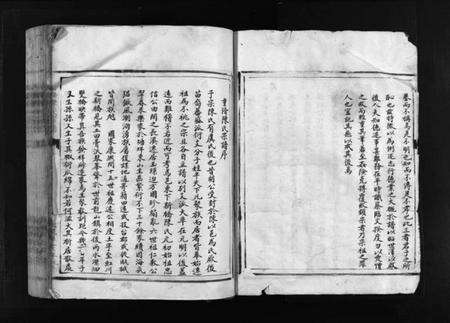 浙江陈氏族谱-新桥陈氏宗谱 [不分卷].pdf电子版预览图5