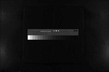 浙江陈氏族谱-新桥陈氏宗谱 [不分卷].pdf电子版缩略图