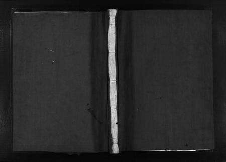 浙江陈氏族谱-新桥陈氏宗谱 [不分卷].pdf电子版预览图1