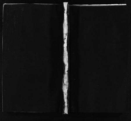 浙江施氏族谱-施氏宗谱 [4卷].pdf电子版预览图1