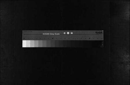 浙江许氏族谱-昭仁许氏宗谱 [11卷].pdf电子版缩略图