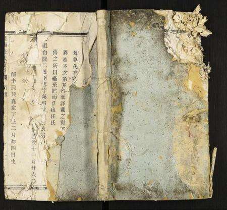 浙江任氏族谱-暨阳任氏宗谱.pdf电子版缩略图