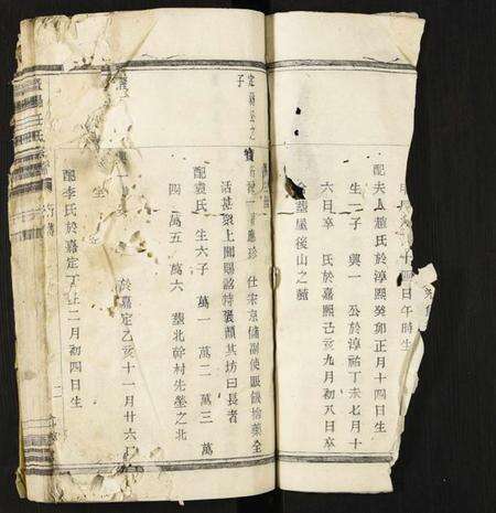 浙江任氏族谱-暨阳任氏宗谱.pdf电子版预览图1