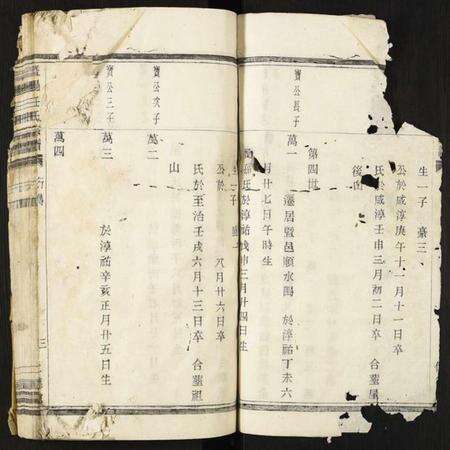 浙江任氏族谱-暨阳任氏宗谱.pdf电子版预览图2