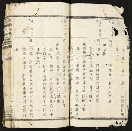 浙江任氏族谱-暨阳任氏宗谱.pdf电子版预览图4