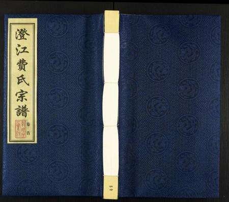 江苏费氏族谱-澄江费氏宗谱.pdf电子版缩略图