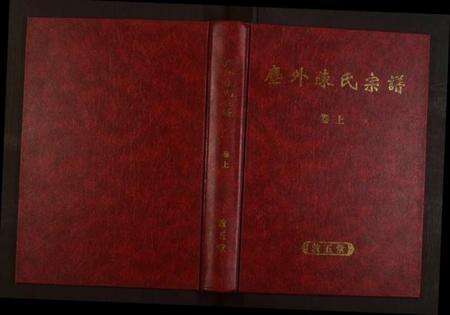 浙江陈氏族谱-暨阳尘外陈氏宗谱[2卷].pdf电子版缩略图