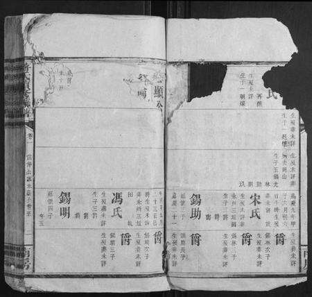 湖南蒋氏族谱-蒋氏续修族谱.pdf电子版预览图2