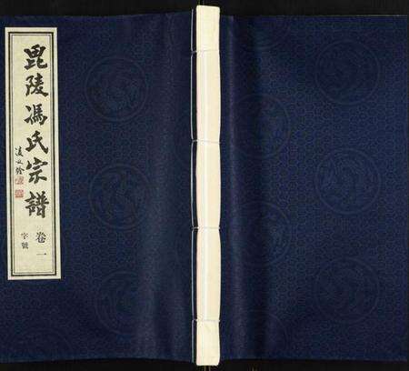 江苏冯氏族谱-冯氏宗谱.pdf电子版缩略图