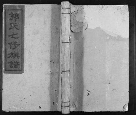 江西郭氏族谱-永兴长塘郭氏重修族谱.pdf电子版缩略图