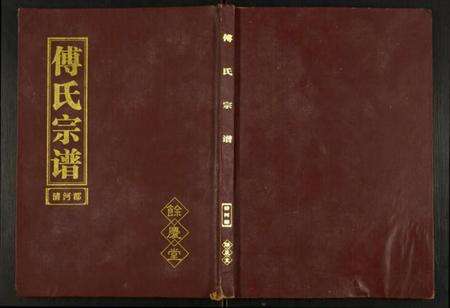 江苏傅氏族谱-傅氏宗谱.pdf电子版缩略图