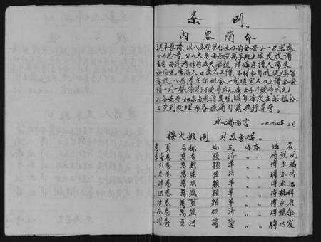 江苏傅氏族谱-第九宗卷傅族家谱.pdf电子版预览图2