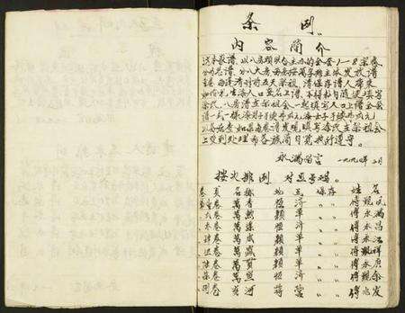 江苏傅氏族谱-第玖宗卷傅族家谱.pdf电子版预览图3