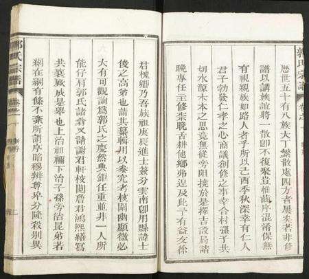 江西郭氏族谱-郭氏宗谱.pdf电子版预览图2