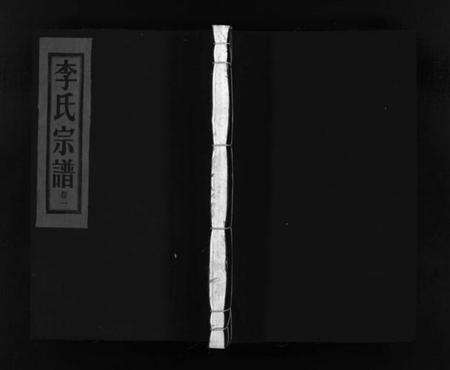 浙江李氏族谱-李氏宗谱 [3卷].pdf电子版预览图1