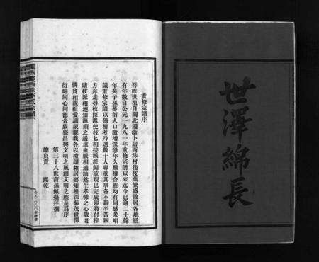 浙江李氏族谱-李氏宗谱 [3卷].pdf电子版预览图3