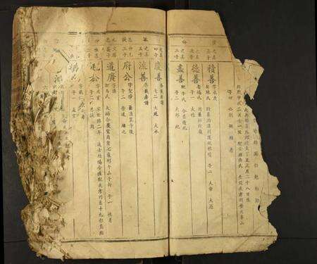 江西郭氏族谱-雩邑东北乡郭氏族谱.pdf电子版预览图2