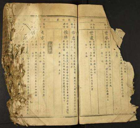 江西郭氏族谱-雩邑东北乡郭氏族谱.pdf电子版预览图4