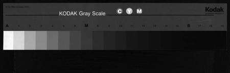 浙江李氏族谱-李氏宗谱 [7卷].pdf电子版缩略图
