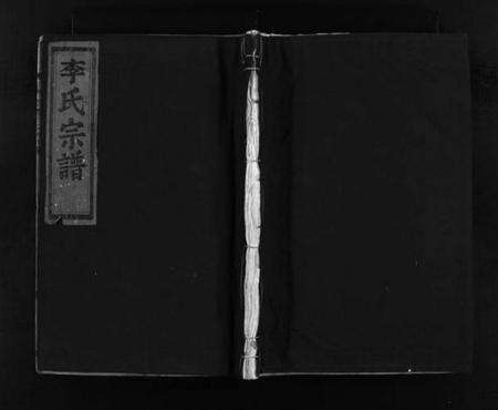 浙江李氏族谱-李氏宗谱 [不分卷].pdf电子版预览图1