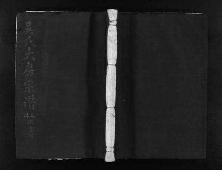 浙江吴氏族谱-杏川吴氏宗谱 [不分卷].pdf电子版预览图1