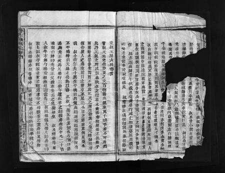 浙江吴氏族谱-杏川吴氏宗谱 [不分卷].pdf电子版预览图2