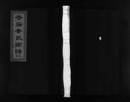 浙江季氏族谱-杏庄季氏宗谱 [2卷].pdf电子版预览图1