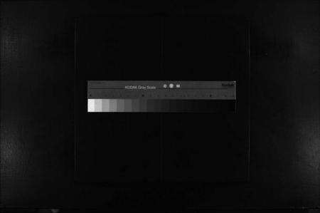 浙江季氏族谱-杏庄季氏宗谱 [不分卷].pdf电子版