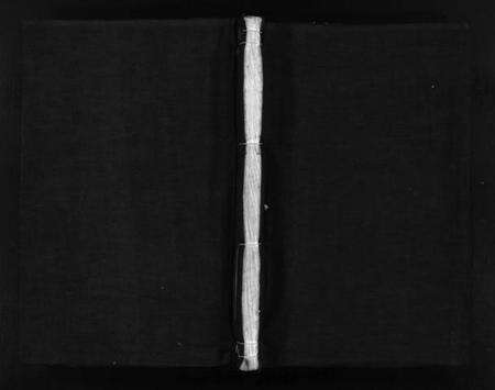 浙江季氏族谱-杏庄季氏宗谱 [不分卷].pdf电子版预览图1