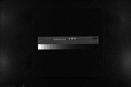 浙江季氏族谱-杏庄季氏宗谱 [不分卷].pdf电子版