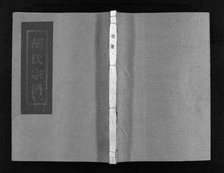 浙江胡氏族谱-杏庄胡氏宗谱 [11卷,含卷首].pdf电子版预览图1