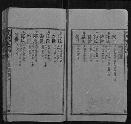 湖南李氏族谱-李氏五修族谱.pdf电子版预览图3