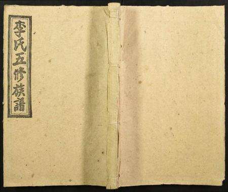 湖南李氏族谱-李氏五修族谱.pdf电子版缩略图