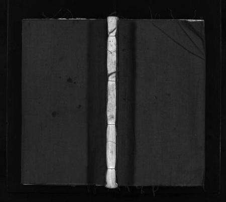 浙江胡氏族谱-杏庄胡氏宗谱 [5卷,及卷首].pdf电子版预览图1