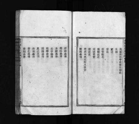 浙江胡氏族谱-杏庄胡氏宗谱 [5卷,及卷首].pdf电子版预览图4