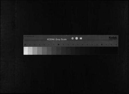 浙江杜氏族谱-杜氏宗谱 [残卷].pdf电子版缩略图