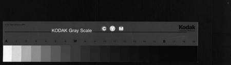 浙江陈氏族谱-杜溪陈氏宗谱 [24卷,首1卷].pdf电子版缩略图