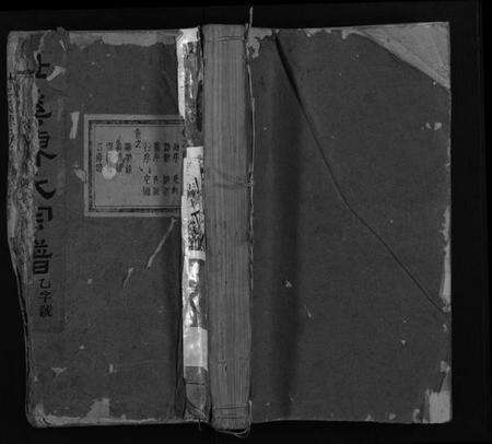 浙江陈氏族谱-杜溪陈氏宗谱 [24卷,首1卷].pdf电子版预览图1