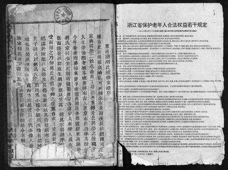 浙江胡氏族谱-东南湖胡氏宗谱 [15卷].pdf电子版预览图2