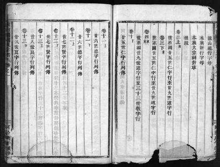 浙江胡氏族谱-东南湖胡氏宗谱 [15卷].pdf电子版预览图5