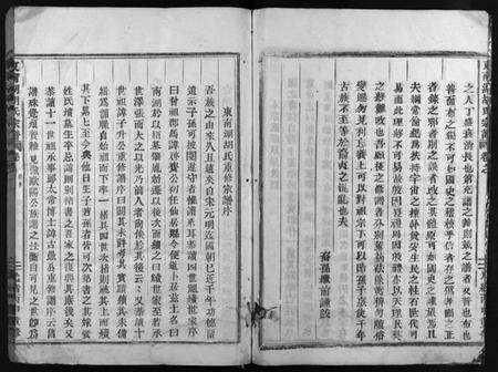 浙江胡氏族谱-东南湖胡氏宗谱 [20卷,首1卷].pdf电子版预览图5