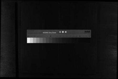 浙江胡氏族谱-东南湖胡氏宗谱 [残卷].pdf电子版缩略图