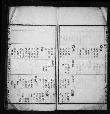 中国高氏族谱-高氏宗谱.pdf电子版预览图3